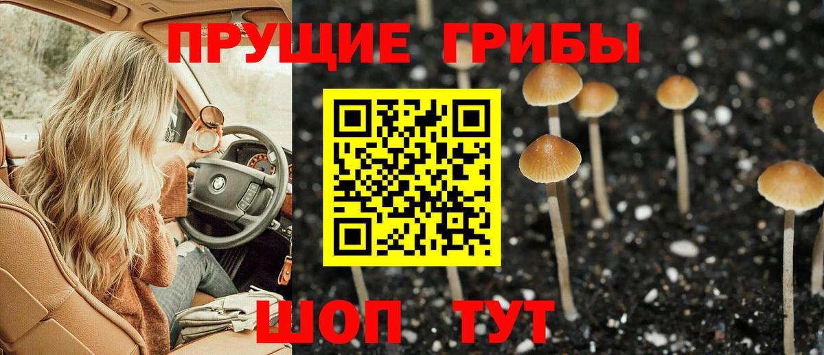 Галлюциногенные грибы мицелий  Вход с VPN  Костомукша  Галлюциногенные грибы прущие грибы 